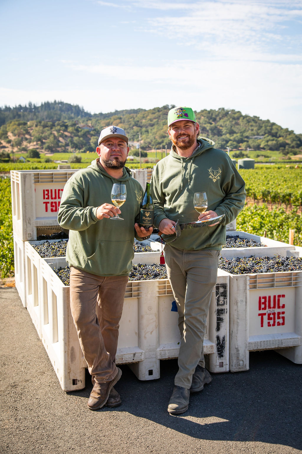 Sorting 2026 Pinot Noir at the winery