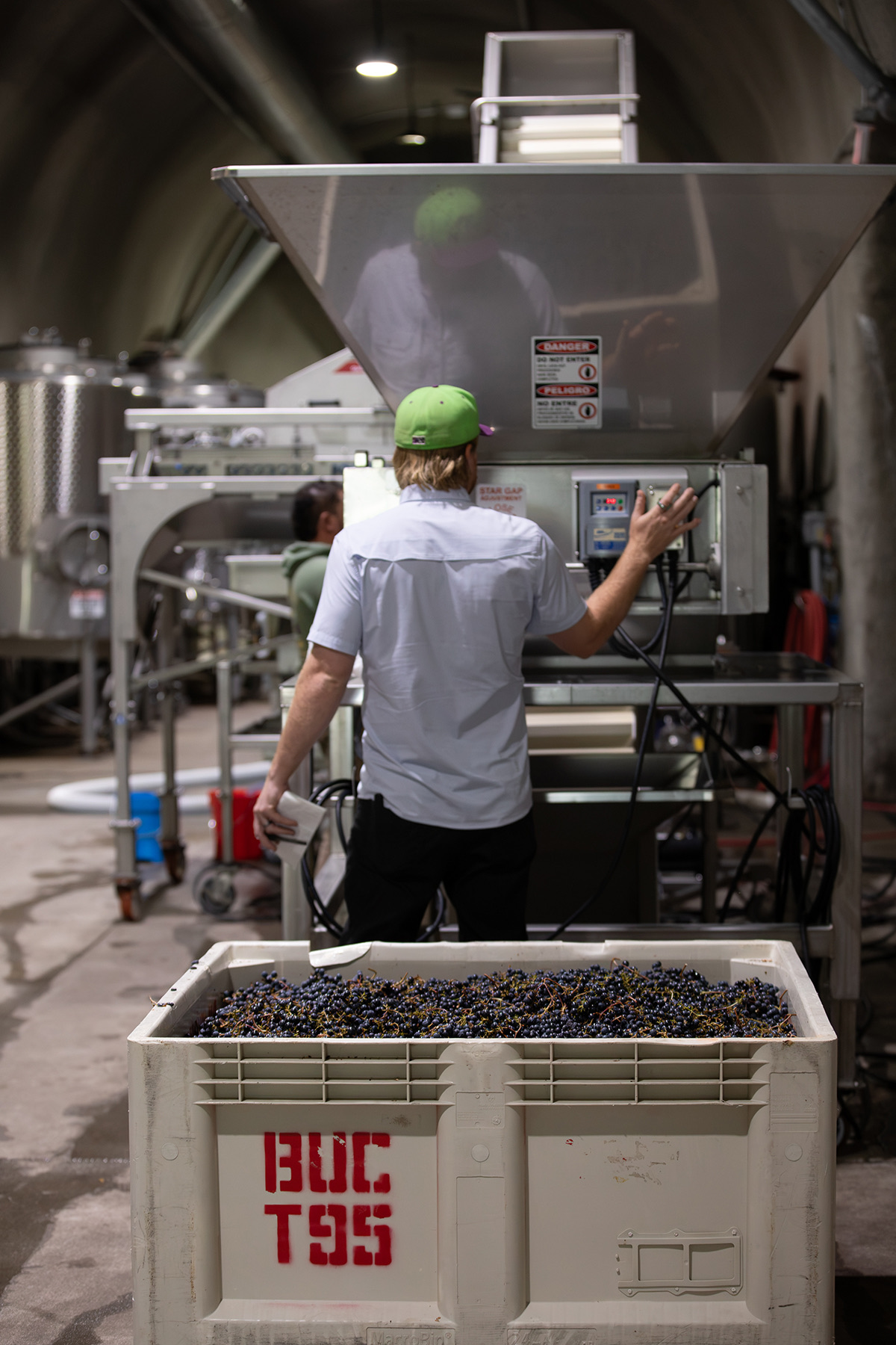 Running the destemmer as the next bin of Cabernet comes in
