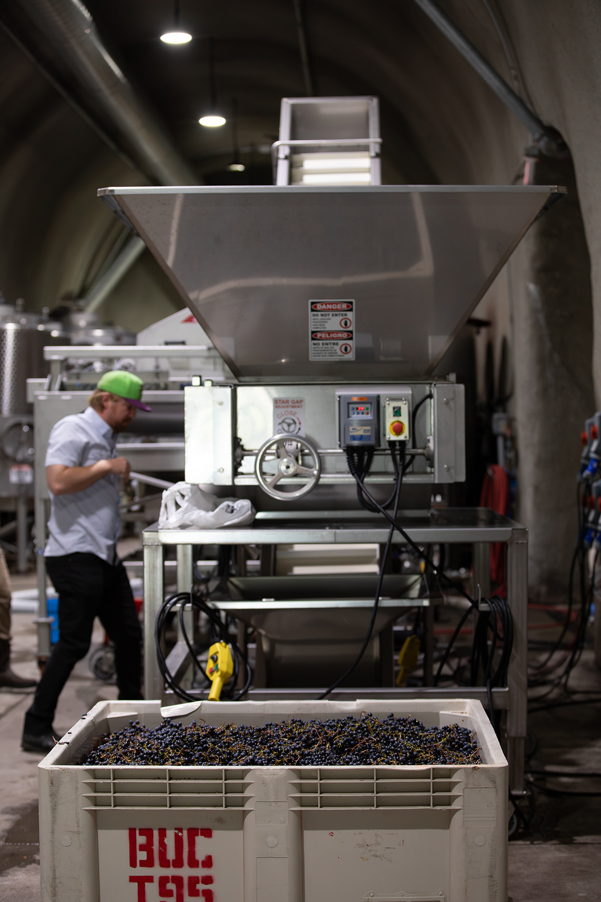 A full bin of Cabernet waiting at the destemmer in the cave