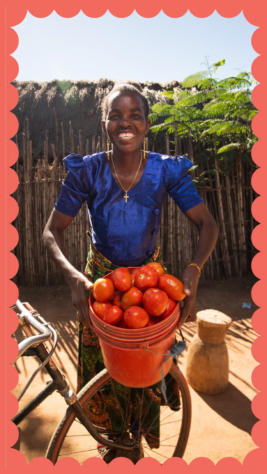 A smiling woman holds a bucket of ripe tomatoes on her bicycle in front of a woven reed fence.